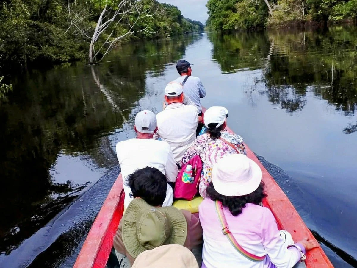 Excursiones en el día